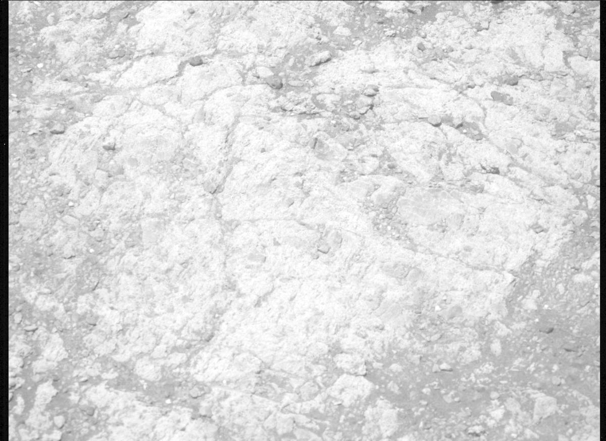 This image was taken by MCZ_LEFT onboard NASA's Mars rover Perseverance on Sol 1608