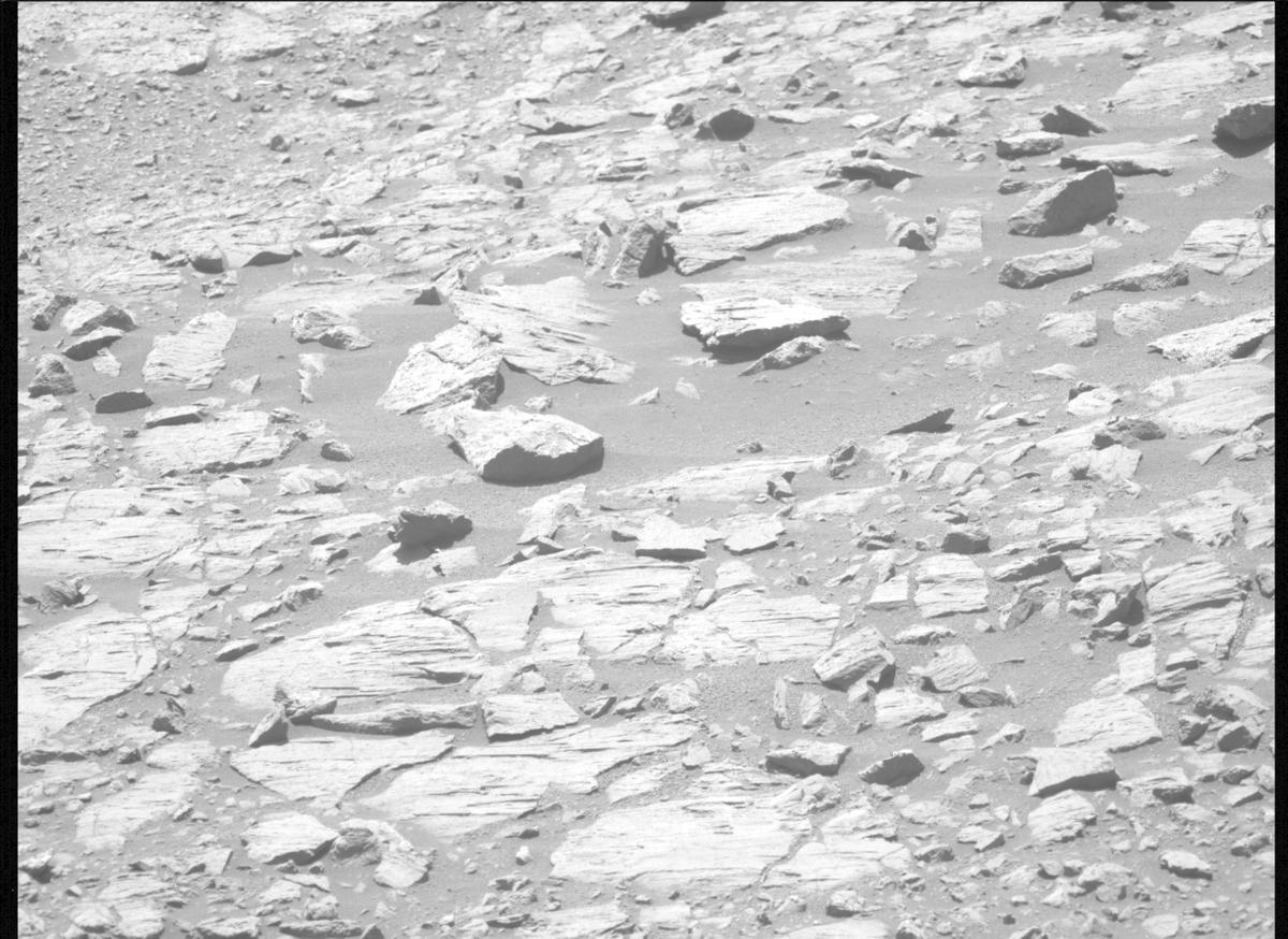 This image was taken by MCZ_LEFT onboard NASA's Mars rover Perseverance on Sol 1608