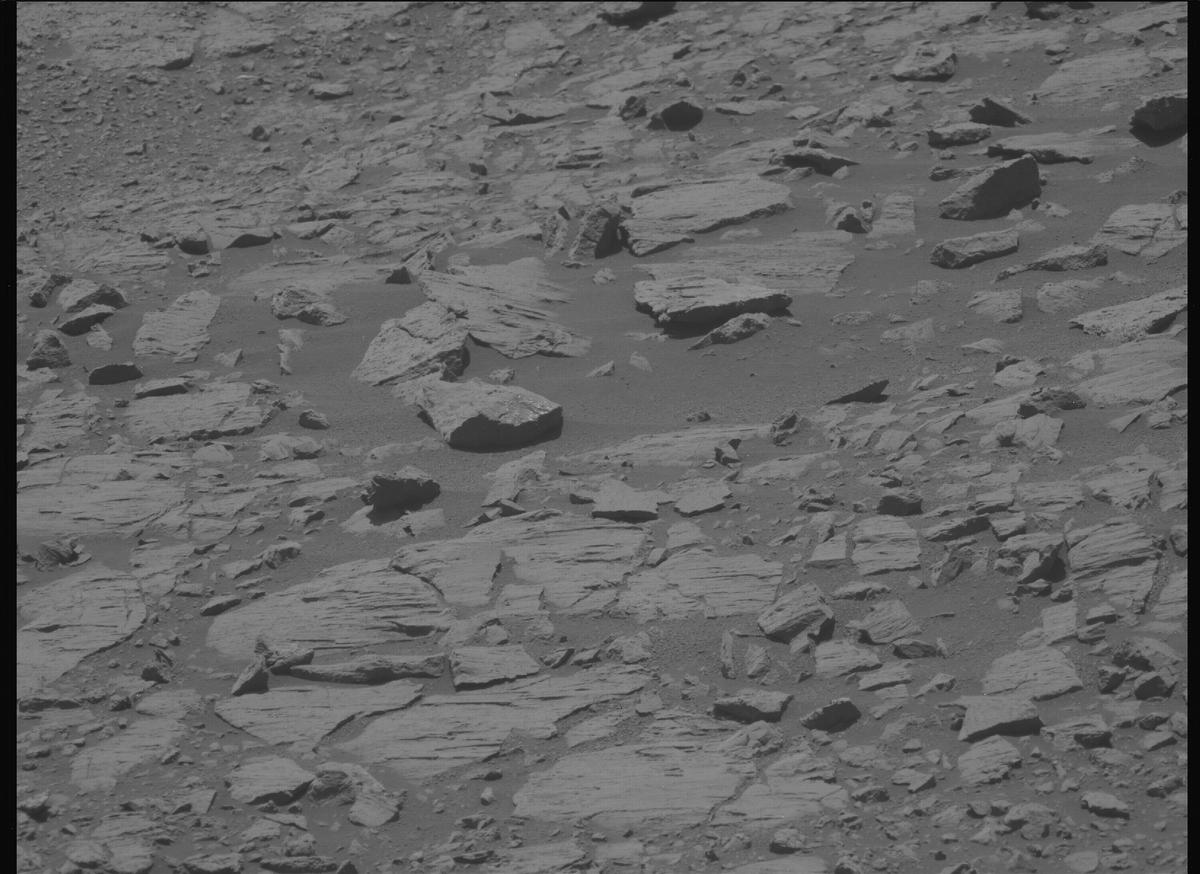 This image was taken by MCZ_LEFT onboard NASA's Mars rover Perseverance on Sol 1608