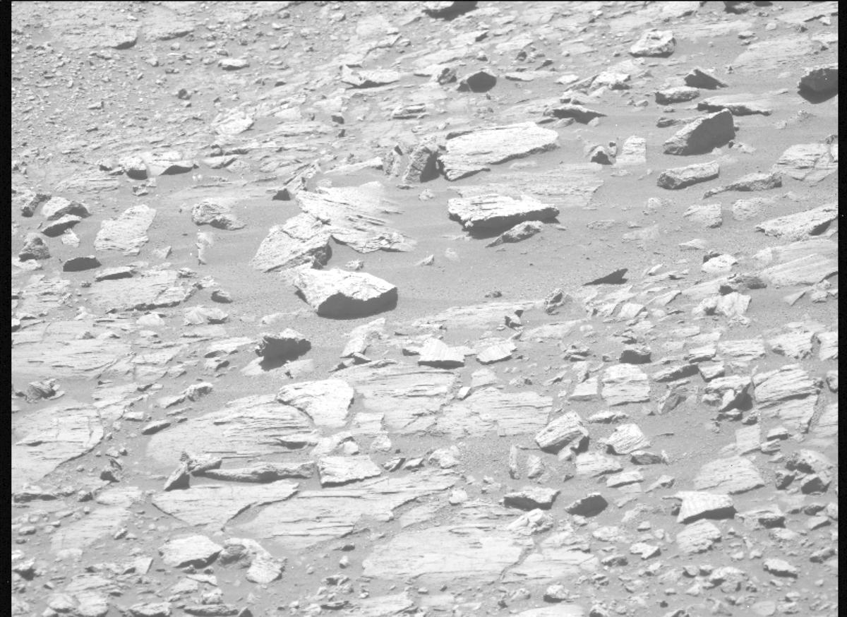 This image was taken by MCZ_LEFT onboard NASA's Mars rover Perseverance on Sol 1608