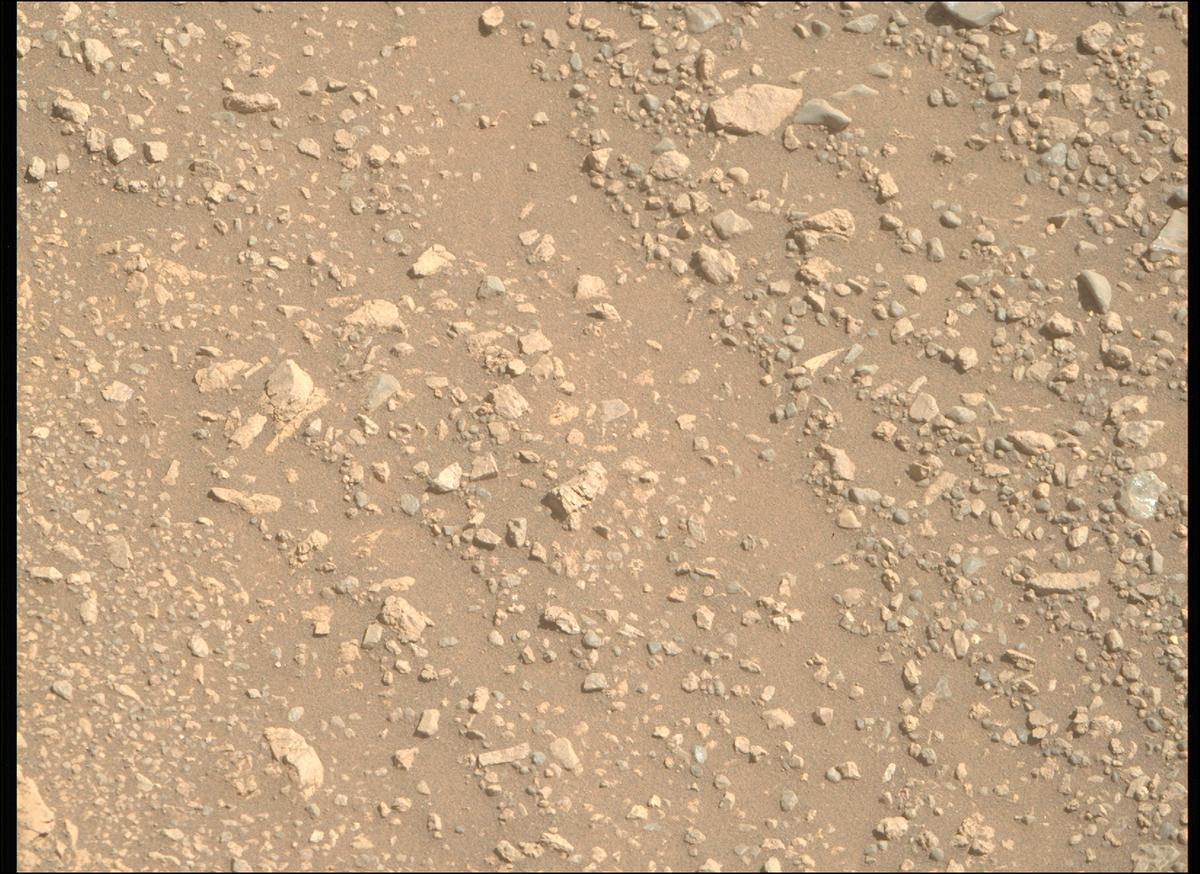 This image was taken by MCZ_RIGHT onboard NASA's Mars rover Perseverance on Sol 1608