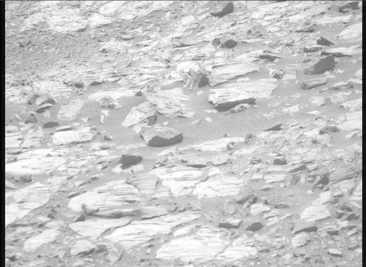 This image was taken by MCZ_RIGHT onboard NASA's Mars rover Perseverance on Sol 1608