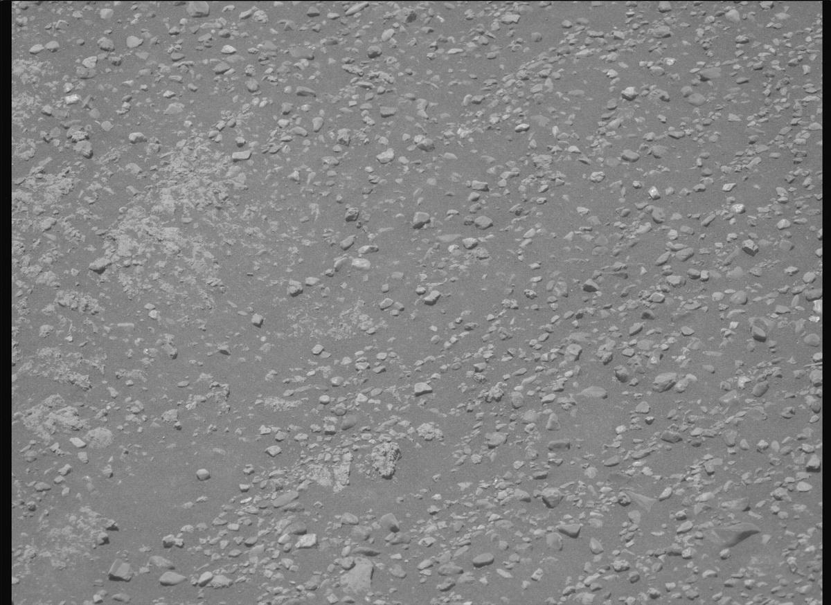 This image was taken by MCZ_LEFT onboard NASA's Mars rover Perseverance on Sol 1609