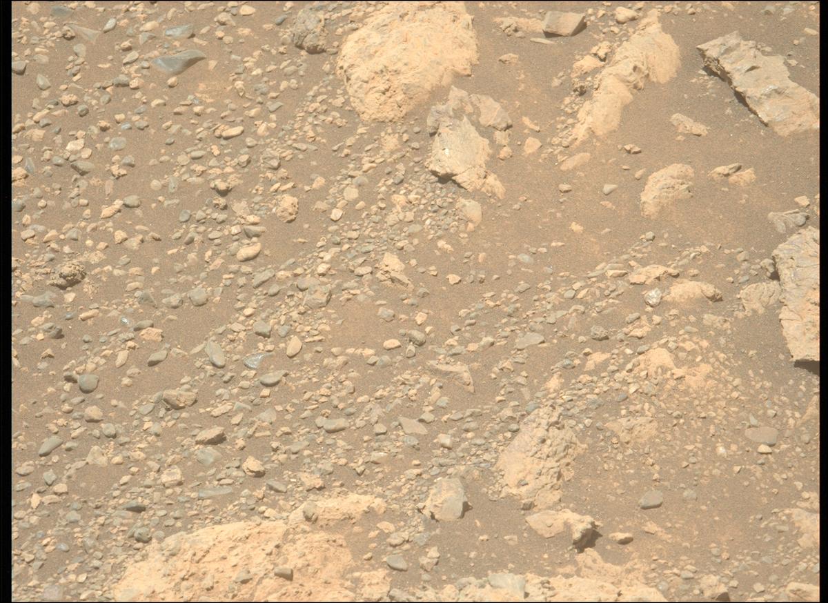 This image was taken by MCZ_LEFT onboard NASA's Mars rover Perseverance on Sol 1609