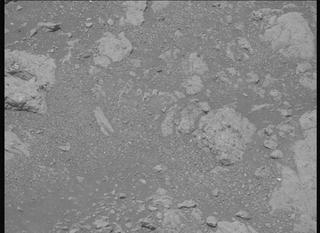 View image taken on Mars, Mars Perseverance Sol 1609: Left Mastcam-Z Camera