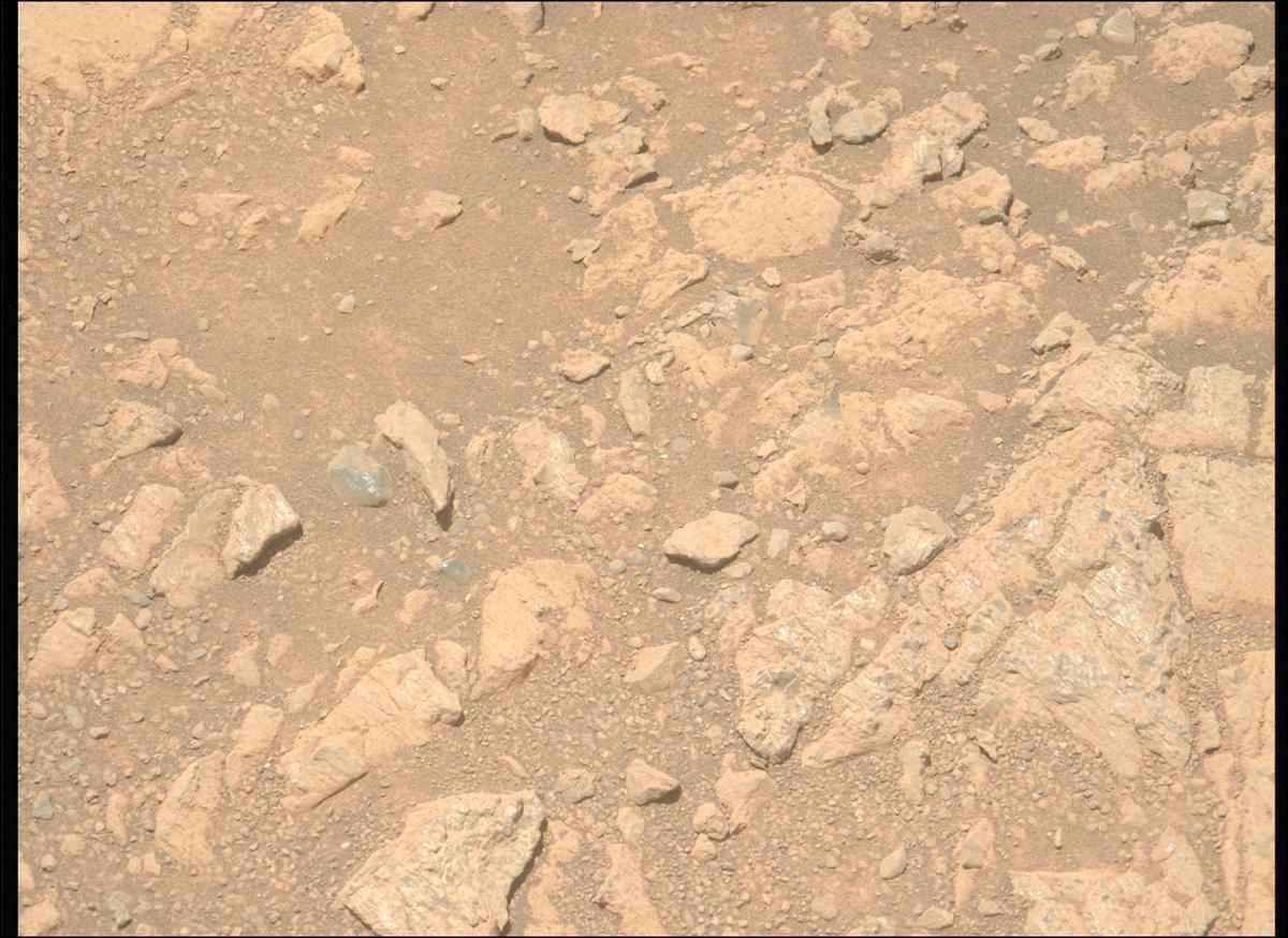 This image was taken by MCZ_LEFT onboard NASA's Mars rover Perseverance on Sol 1609