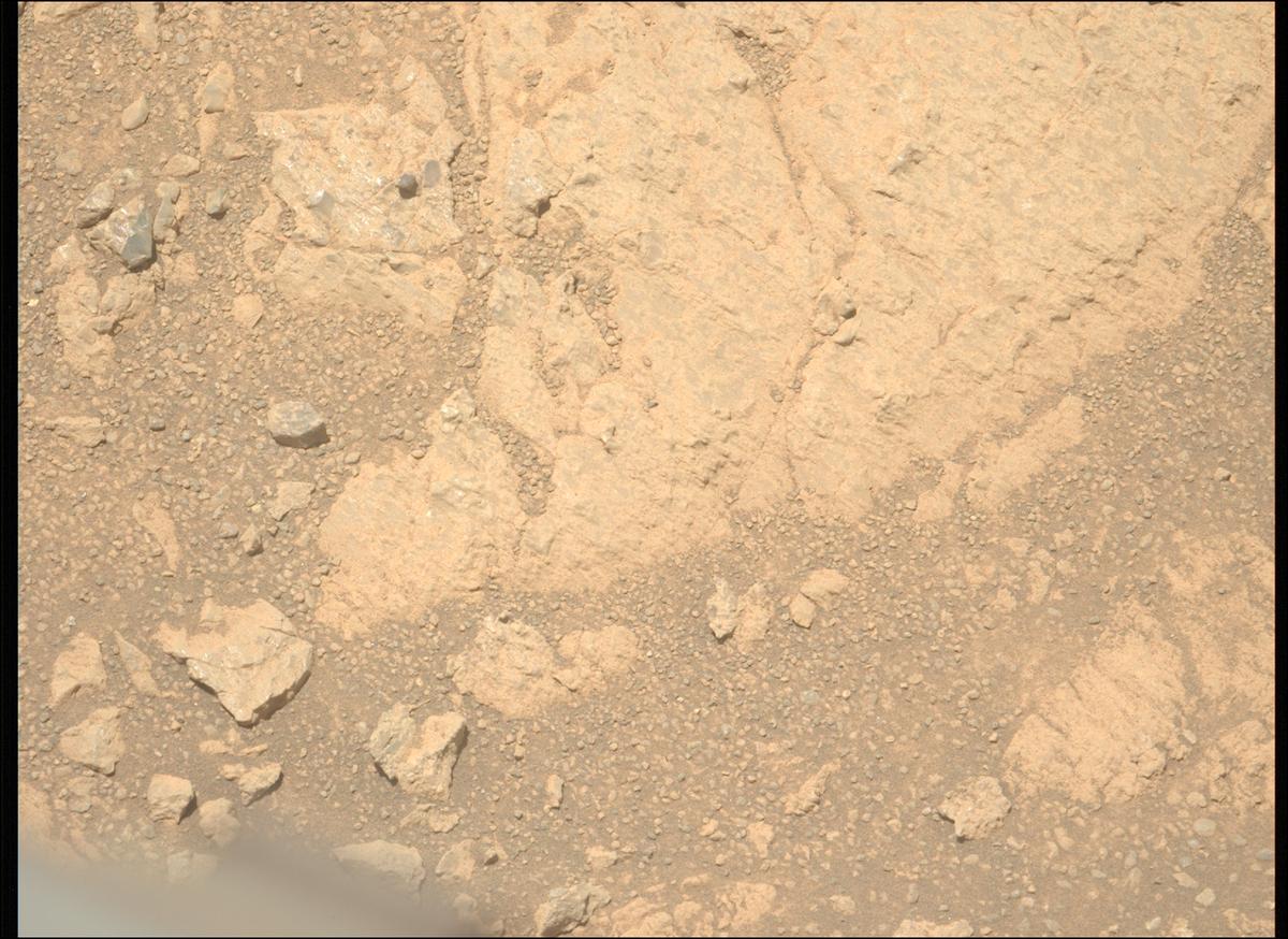 This image was taken by MCZ_LEFT onboard NASA's Mars rover Perseverance on Sol 1609