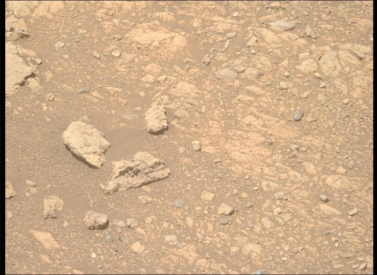 This image was taken by MCZ_RIGHT onboard NASA's Mars rover Perseverance on Sol 1609