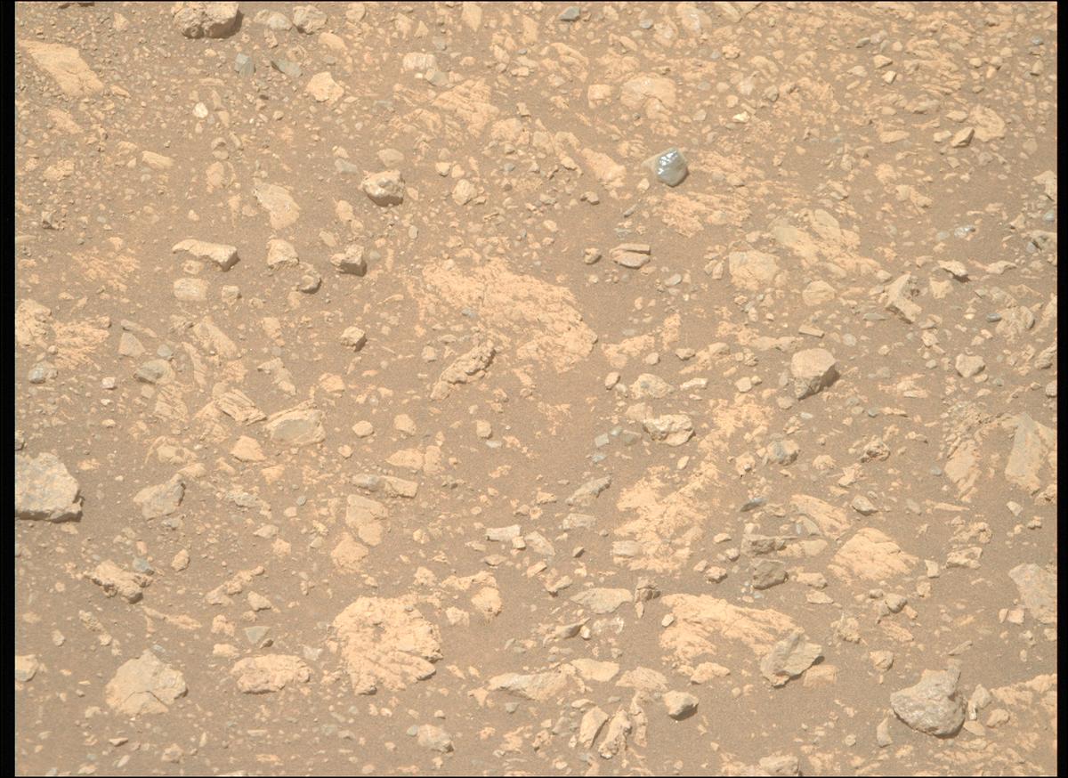 This image was taken by MCZ_RIGHT onboard NASA's Mars rover Perseverance on Sol 1609