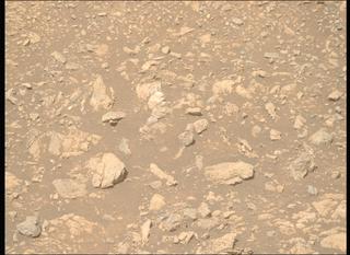 View image taken on Mars, Mars Perseverance Sol 1609: Right Mastcam-Z Camera