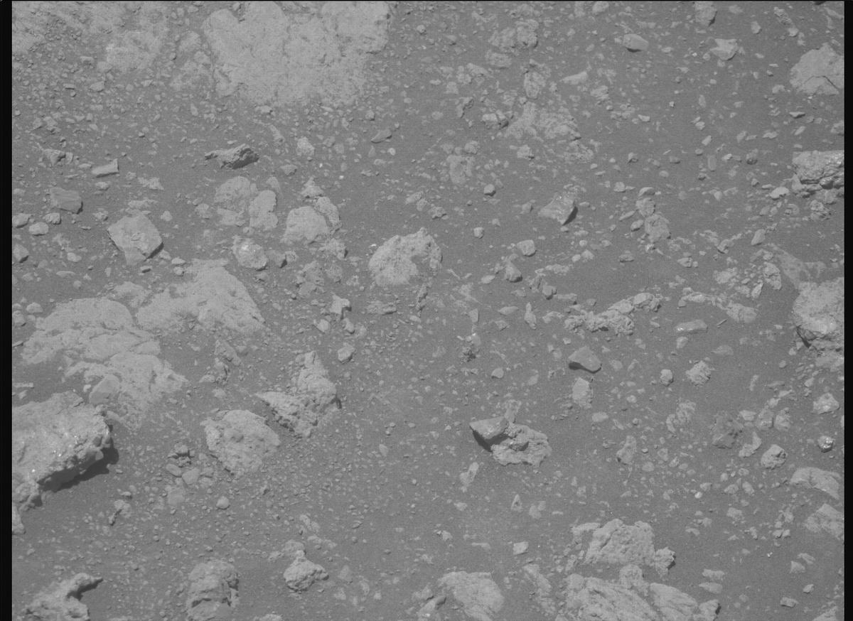 This image was taken by MCZ_RIGHT onboard NASA's Mars rover Perseverance on Sol 1609