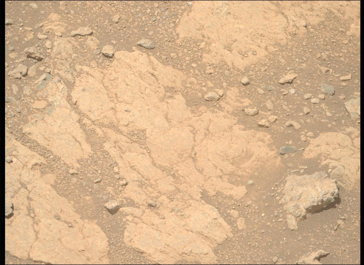 This image was taken by MCZ_RIGHT onboard NASA's Mars rover Perseverance on Sol 1609