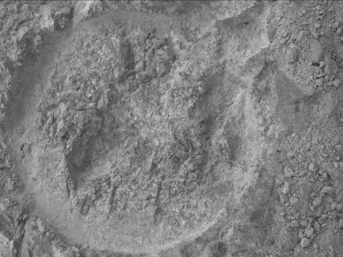 This image was taken by SHERLOC_WATSON onboard NASA's Mars rover Perseverance on Sol 1610