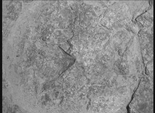 View image taken on Mars, Mars Perseverance Sol 1610: WATSON Camera 