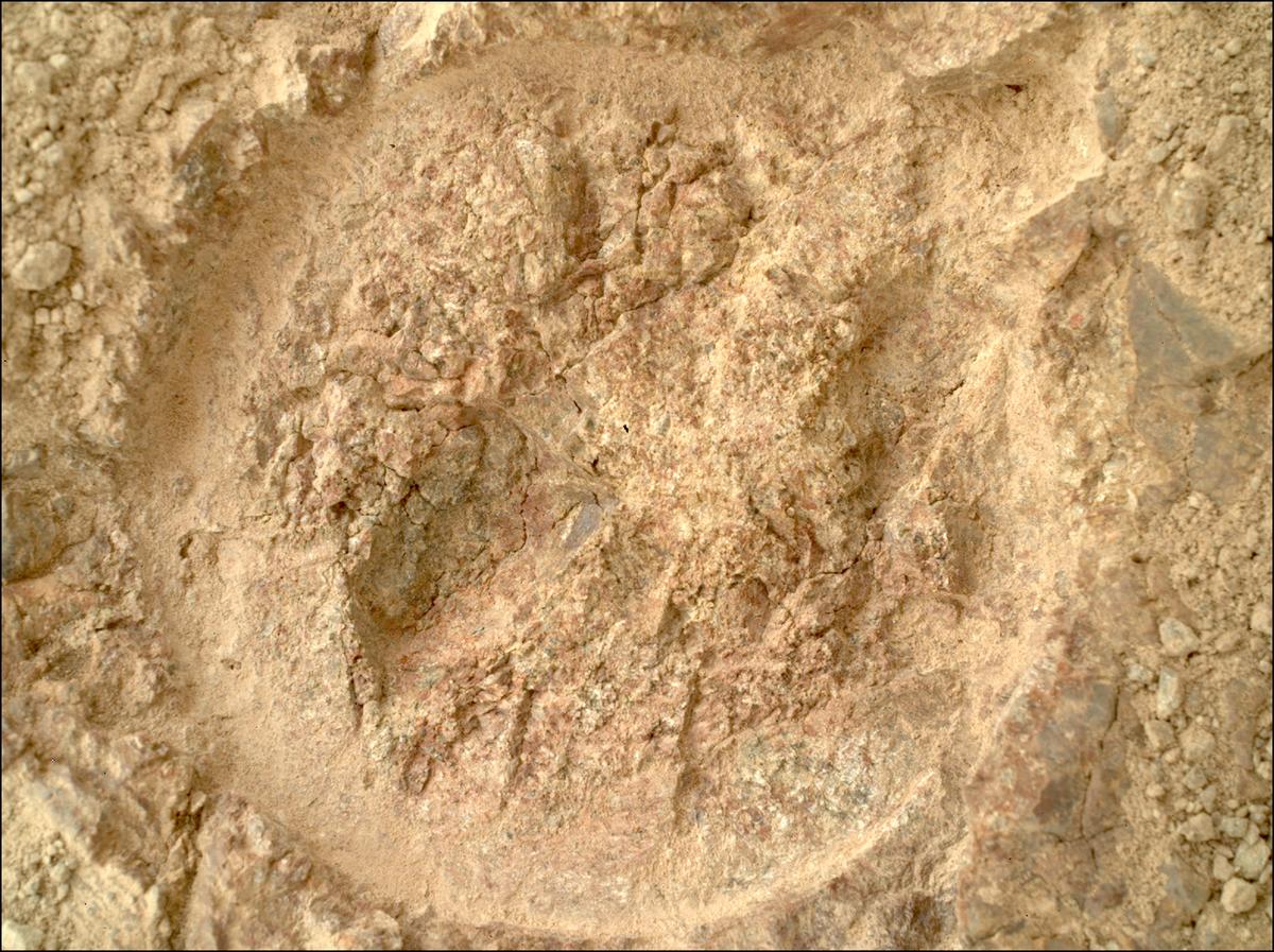 This image was taken by SHERLOC_WATSON onboard NASA's Mars rover Perseverance on Sol 1610