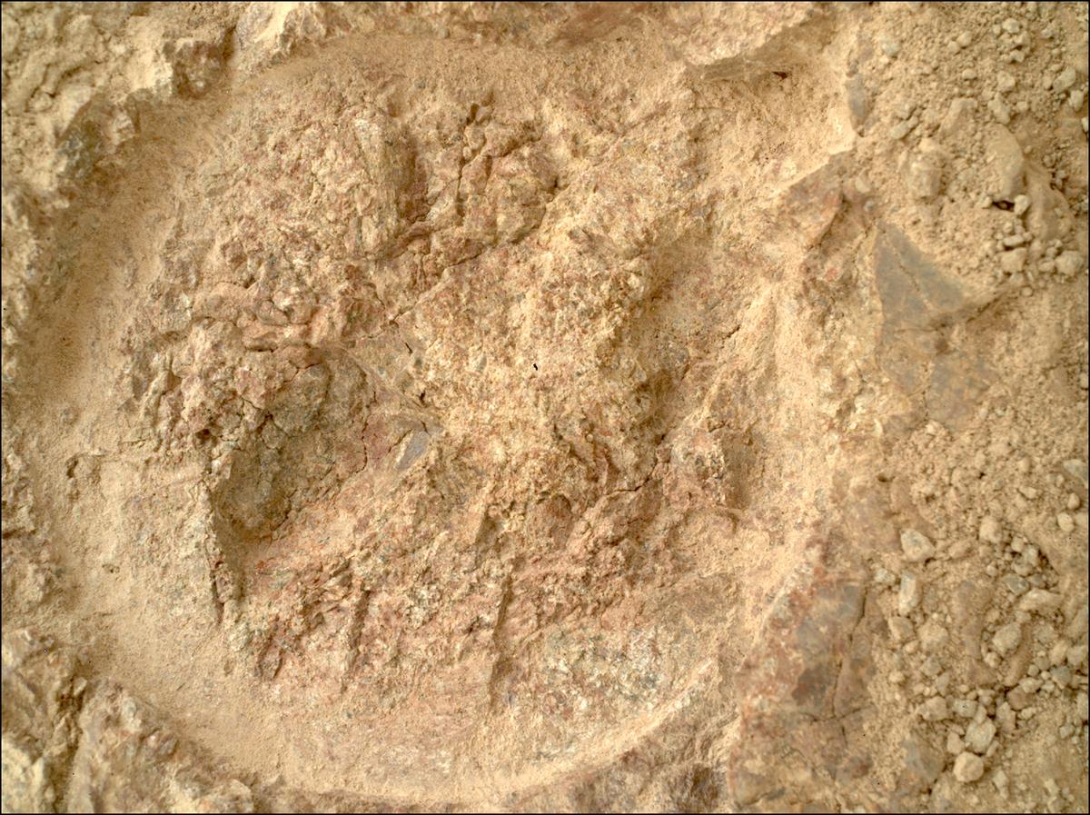 This image was taken by SHERLOC_WATSON onboard NASA's Mars rover Perseverance on Sol 1610