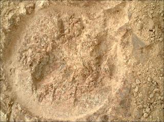 View image taken on Mars, Mars Perseverance Sol 1610: WATSON Camera 