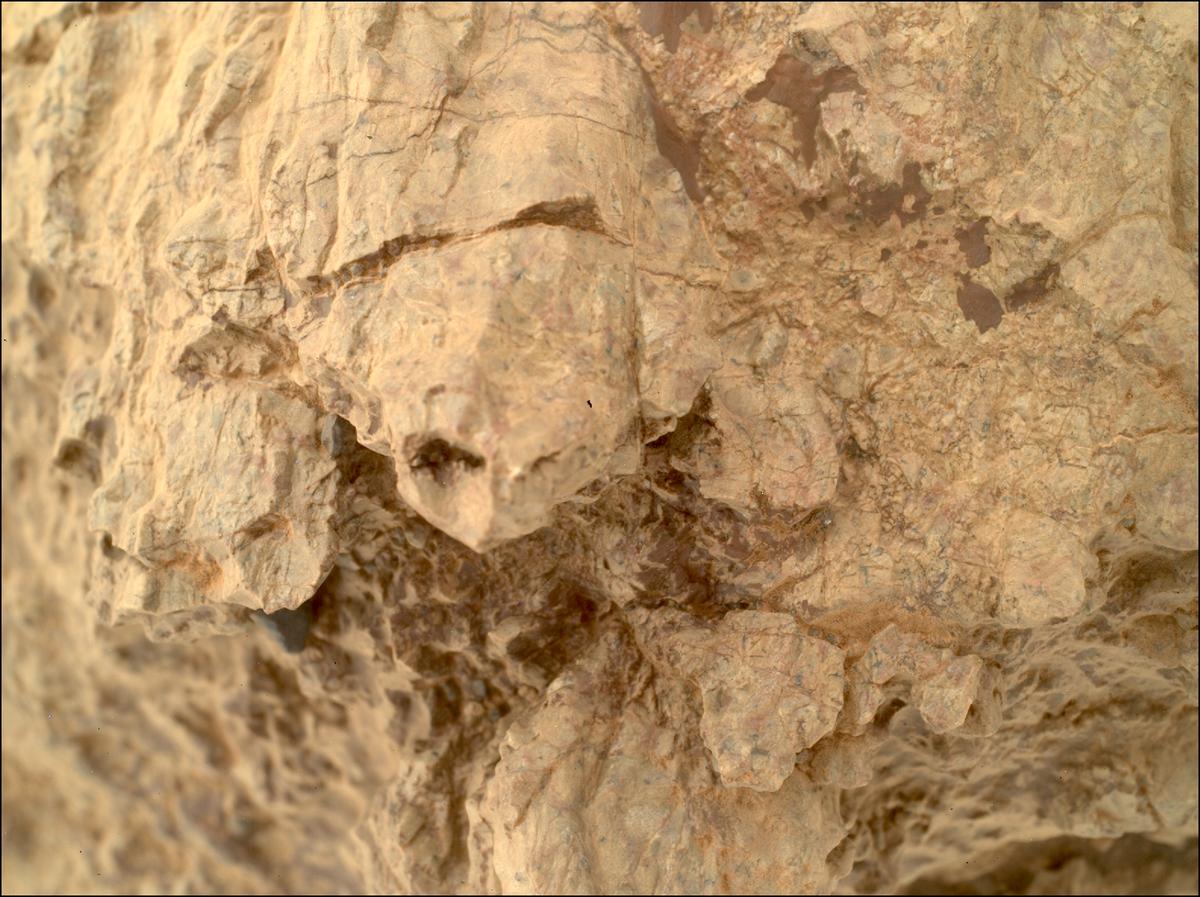 This image was taken by SHERLOC_WATSON onboard NASA's Mars rover Perseverance on Sol 1610