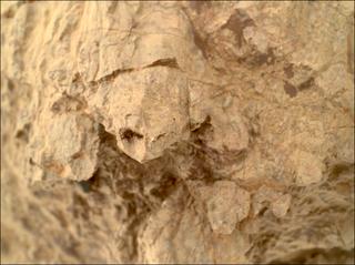 View image taken on Mars, Mars Perseverance Sol 1610: WATSON Camera 