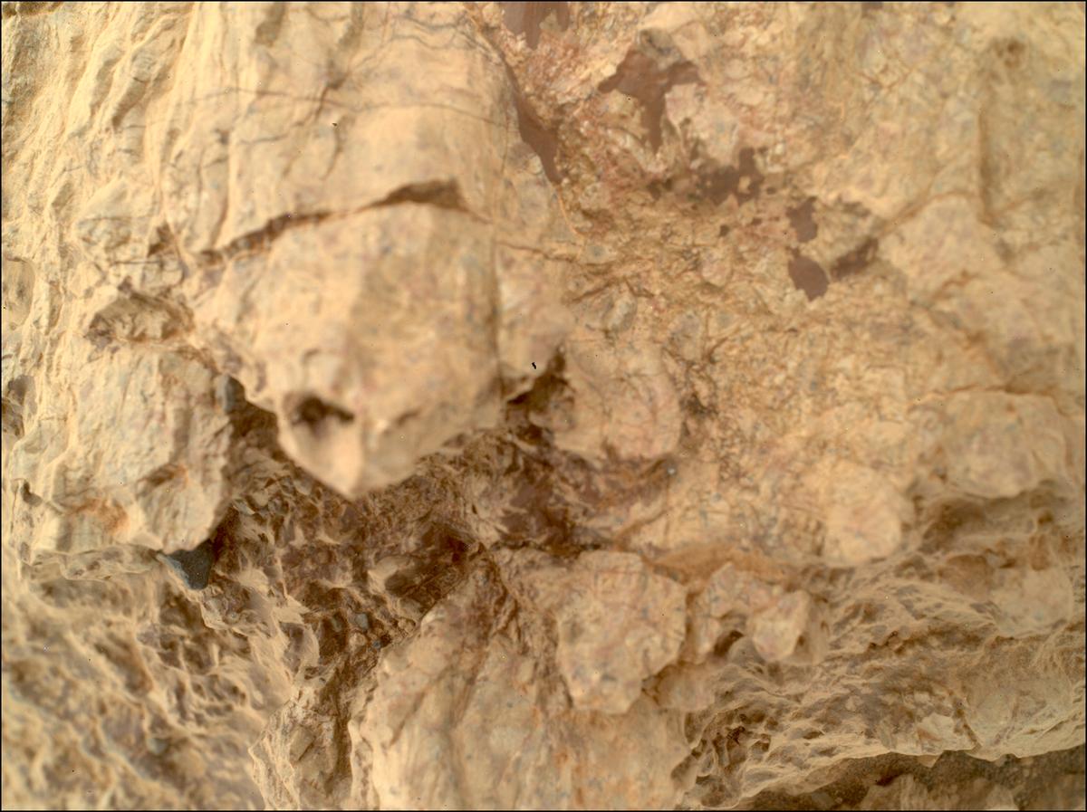This image was taken by SHERLOC_WATSON onboard NASA's Mars rover Perseverance on Sol 1610