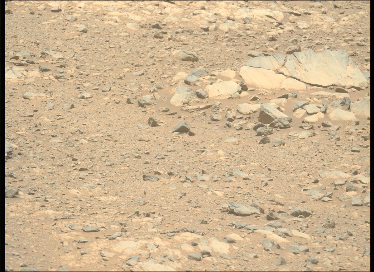 This image was taken by MCZ_LEFT onboard NASA's Mars rover Perseverance on Sol 1610