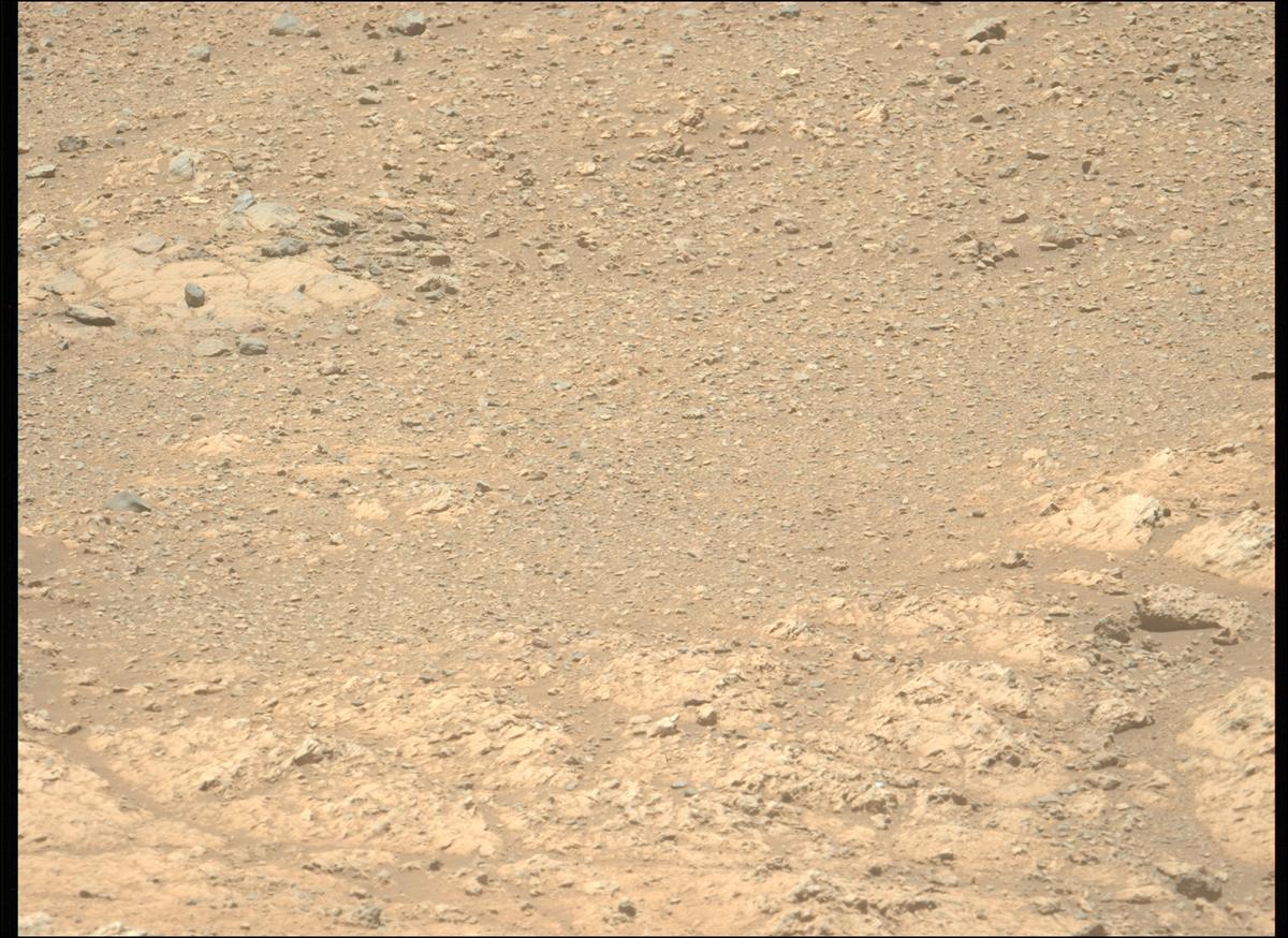 This image was taken by MCZ_LEFT onboard NASA's Mars rover Perseverance on Sol 1610
