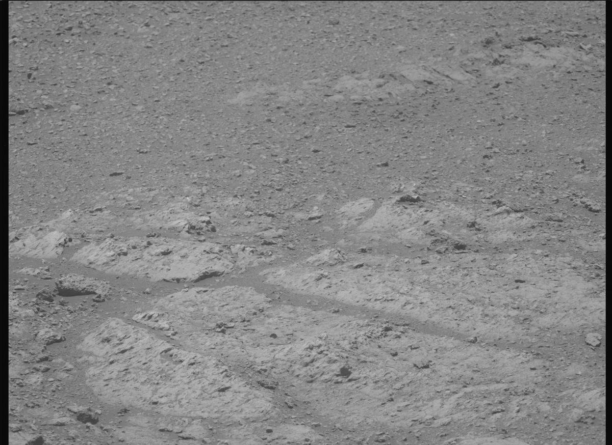 This image was taken by MCZ_LEFT onboard NASA's Mars rover Perseverance on Sol 1610