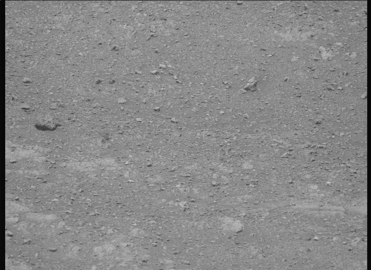 This image was taken by MCZ_LEFT onboard NASA's Mars rover Perseverance on Sol 1610