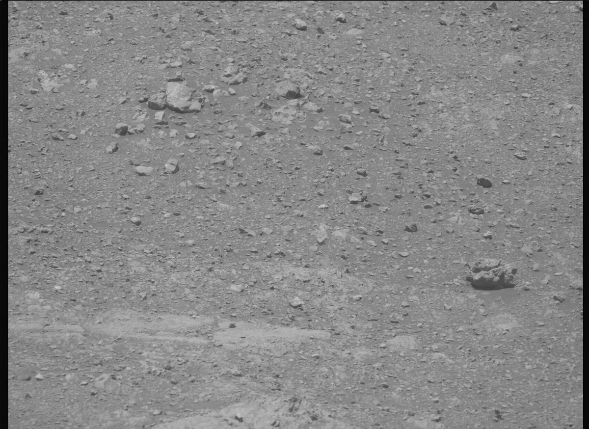 This image was taken by MCZ_LEFT onboard NASA's Mars rover Perseverance on Sol 1610