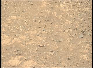 View image taken on Mars, Mars Perseverance Sol 1610: Left Mastcam-Z Camera