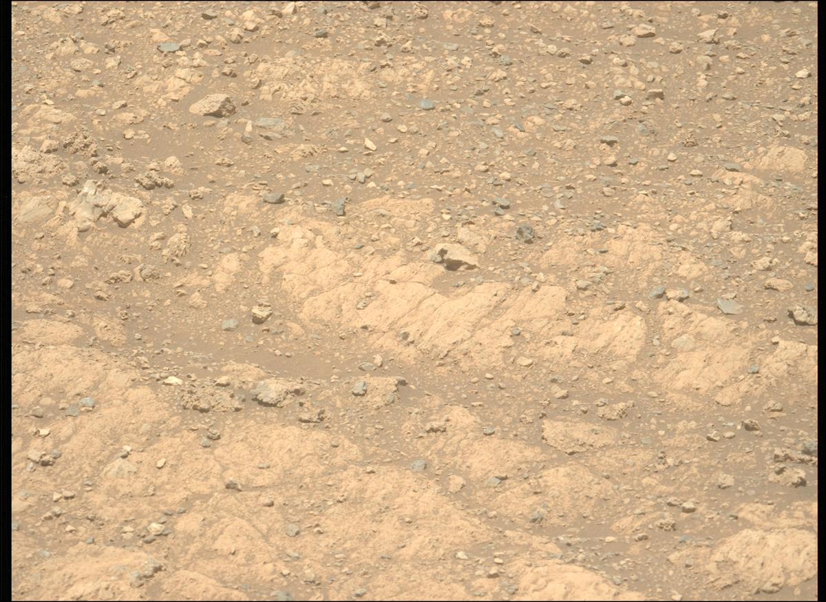 This image was taken by MCZ_LEFT onboard NASA's Mars rover Perseverance on Sol 1610