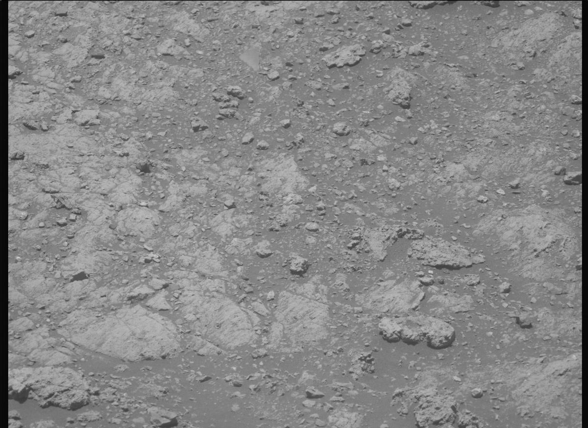 This image was taken by MCZ_LEFT onboard NASA's Mars rover Perseverance on Sol 1610