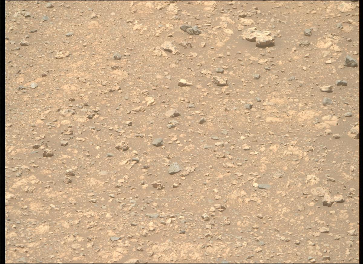 This image was taken by MCZ_RIGHT onboard NASA's Mars rover Perseverance on Sol 1610