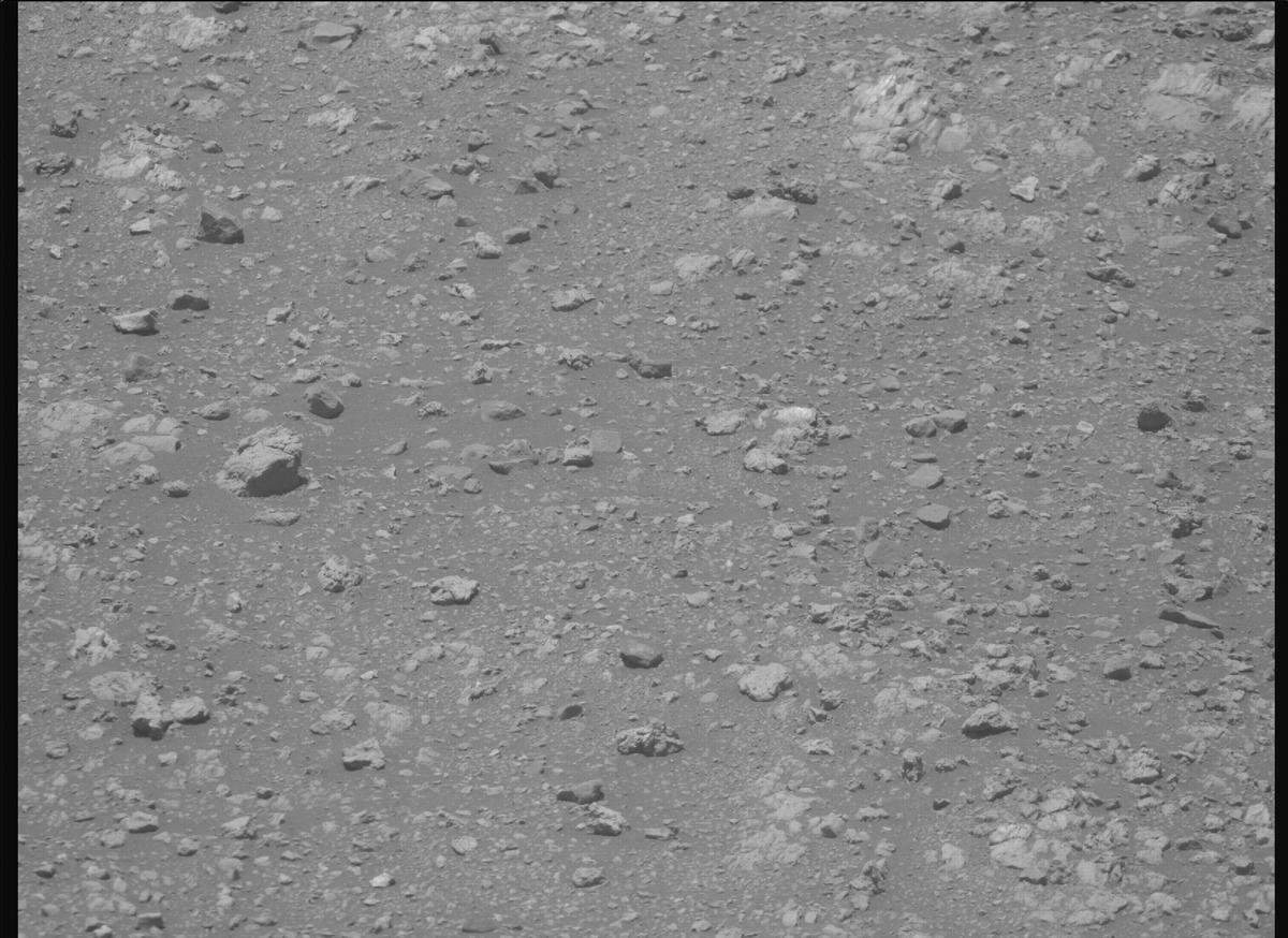 This image was taken by MCZ_RIGHT onboard NASA's Mars rover Perseverance on Sol 1610