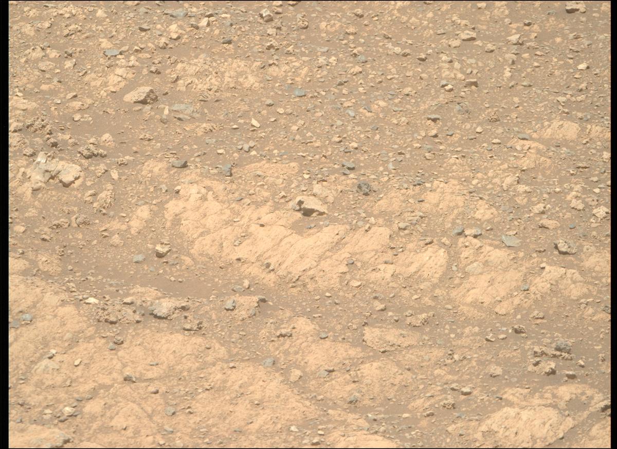 This image was taken by MCZ_RIGHT onboard NASA's Mars rover Perseverance on Sol 1610