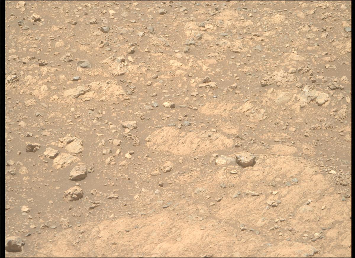 This image was taken by MCZ_RIGHT onboard NASA's Mars rover Perseverance on Sol 1610
