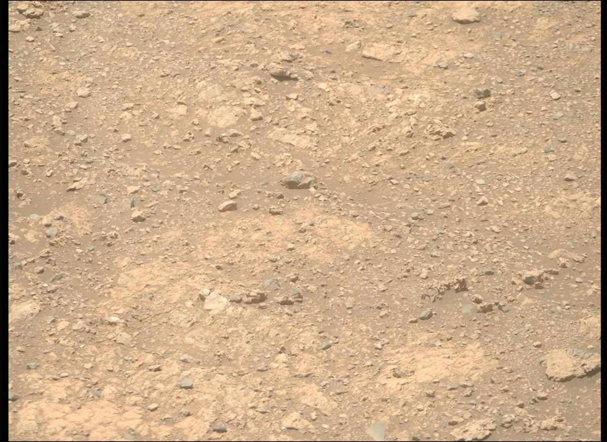 This image was taken by MCZ_RIGHT onboard NASA's Mars rover Perseverance on Sol 1610