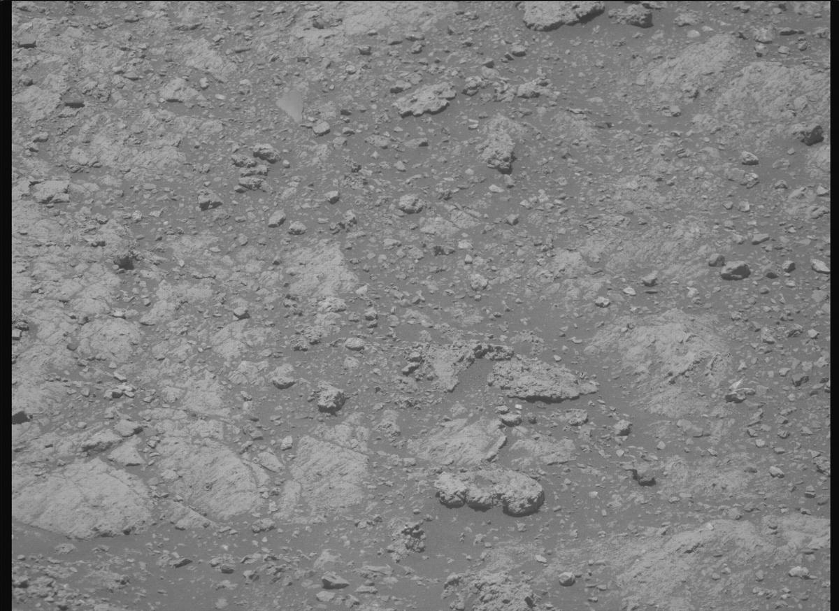 This image was taken by MCZ_RIGHT onboard NASA's Mars rover Perseverance on Sol 1610