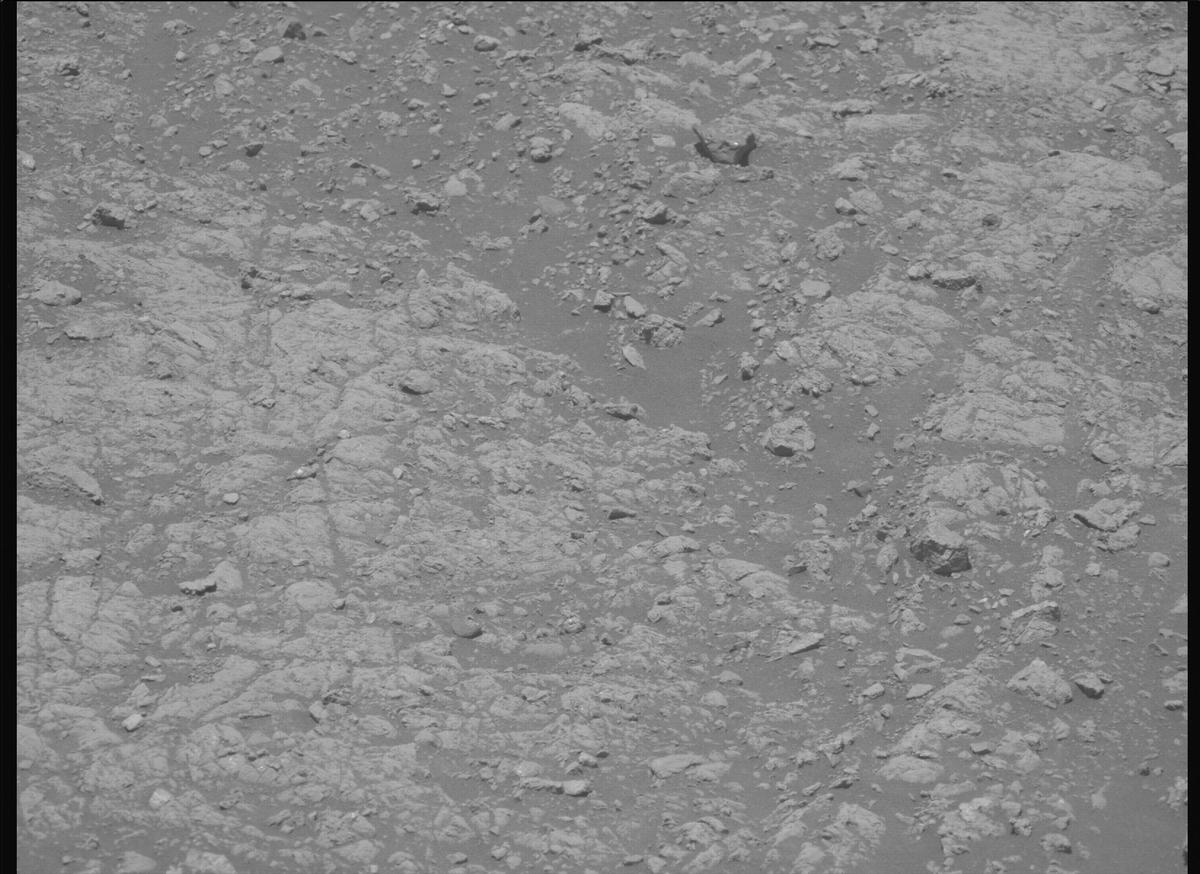 This image was taken by MCZ_LEFT onboard NASA's Mars rover Perseverance on Sol 1611