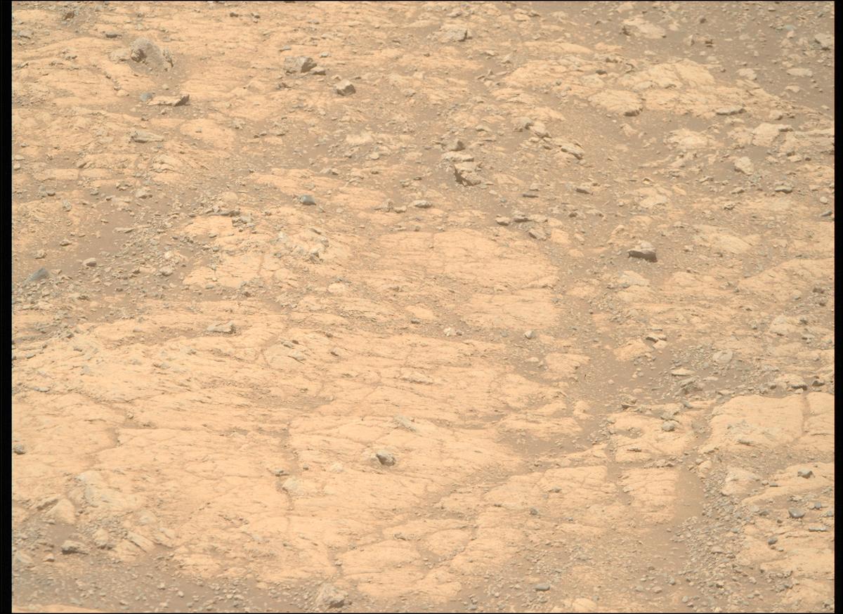 This image was taken by MCZ_RIGHT onboard NASA's Mars rover Perseverance on Sol 1611