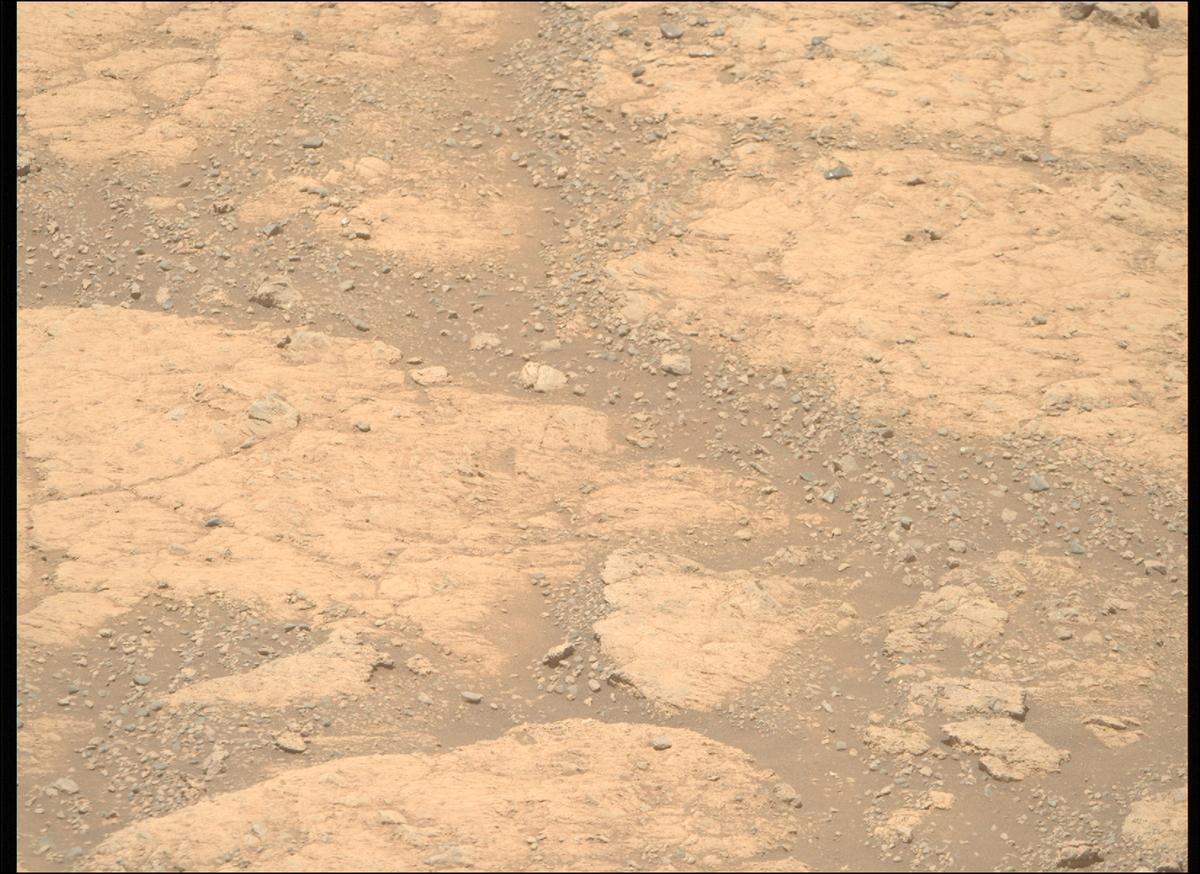 This image was taken by MCZ_RIGHT onboard NASA's Mars rover Perseverance on Sol 1611