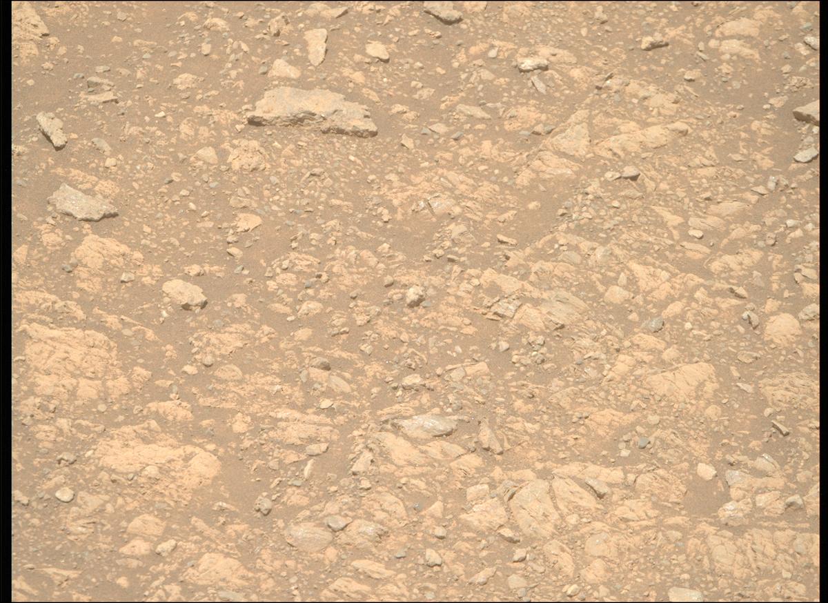 This image was taken by MCZ_RIGHT onboard NASA's Mars rover Perseverance on Sol 1611