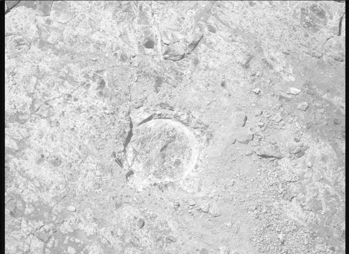This image was taken by MCZ_RIGHT onboard NASA's Mars rover Perseverance on Sol 1611