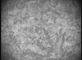 View image taken on Mars, Mars Perseverance Sol 1613: SHERLOC ACI Camera 