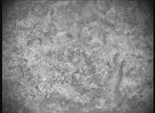 View image taken on Mars, Mars Perseverance Sol 1613: SHERLOC ACI Camera 