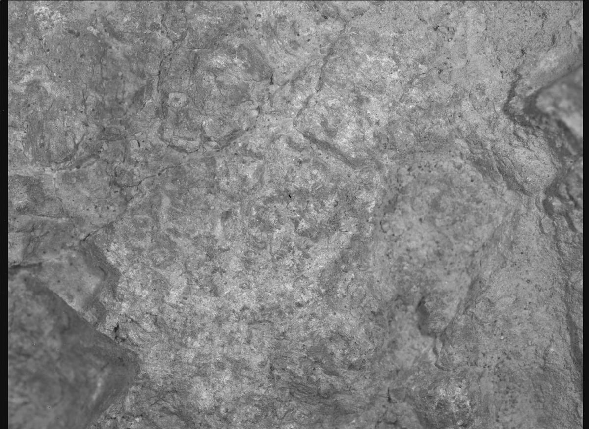 This image was taken by SHERLOC_WATSON onboard NASA's Mars rover Perseverance on Sol 1613