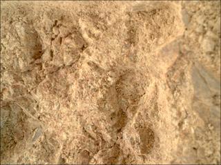 View image taken on Mars, Mars Perseverance Sol 1613: WATSON Camera 