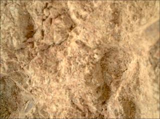 View image taken on Mars, Mars Perseverance Sol 1613: WATSON Camera 