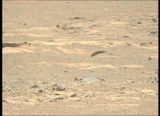 View image taken on Mars, Mars Perseverance Sol 1613: Left Mastcam-Z Camera
