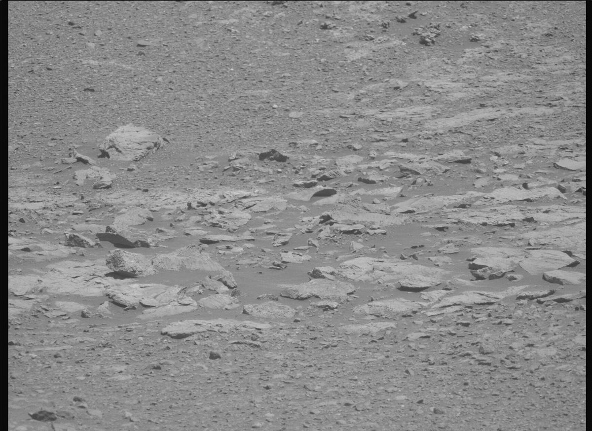 This image was taken by MCZ_LEFT onboard NASA's Mars rover Perseverance on Sol 1613